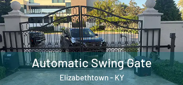  Automatic Swing Gate Elizabethtown - KY
